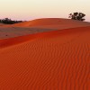 Sand dunes, Mungo NP