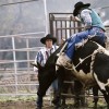 Rodeo Action, Mendorran