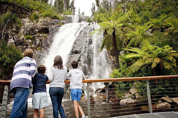 Family viewing Steavenson Falls up close from lookout platform