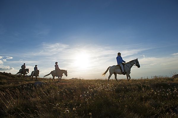 Horse riding at Mount Stirling