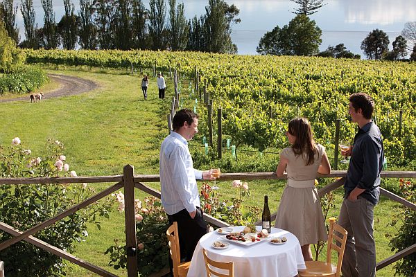 Links casino launceston contact