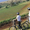 Bicycling, Hunter Valley