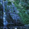 Waterfall, Minnamurra NP