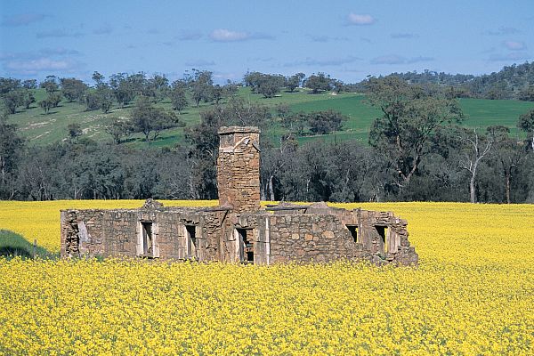 Ruins of the Glenfield Homestead on the Katrine Heritage Trail